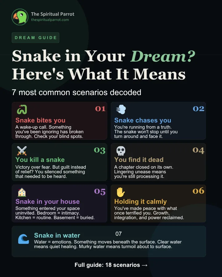 Snake in Your Dream