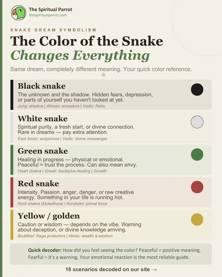 The Color of the Snake Changes Everything
