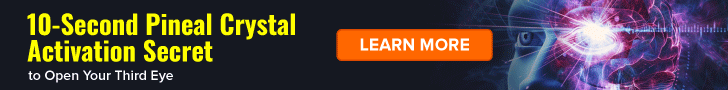 BANNER 1 728x90 1