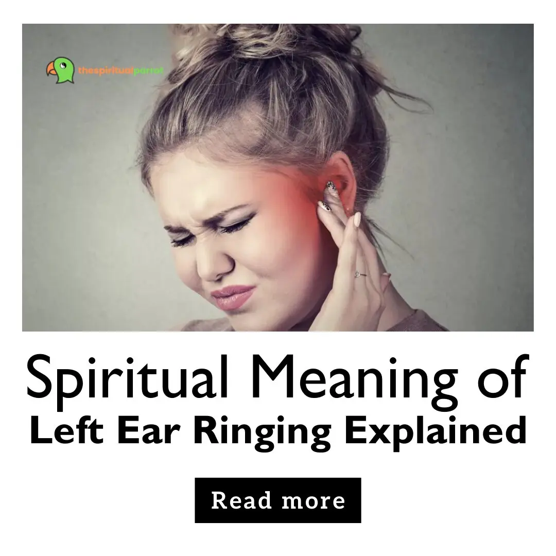 Spiritual Meaning of Left Ear Ringing Explained 15 Spiritual Meaning of Left Ear Ringing Explained