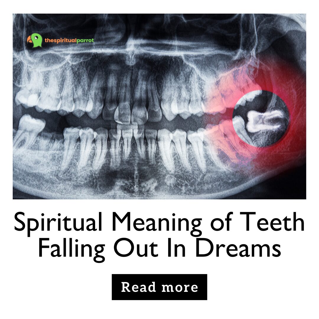 Spiritual Meaning of Teeth Falling Out In Dreams