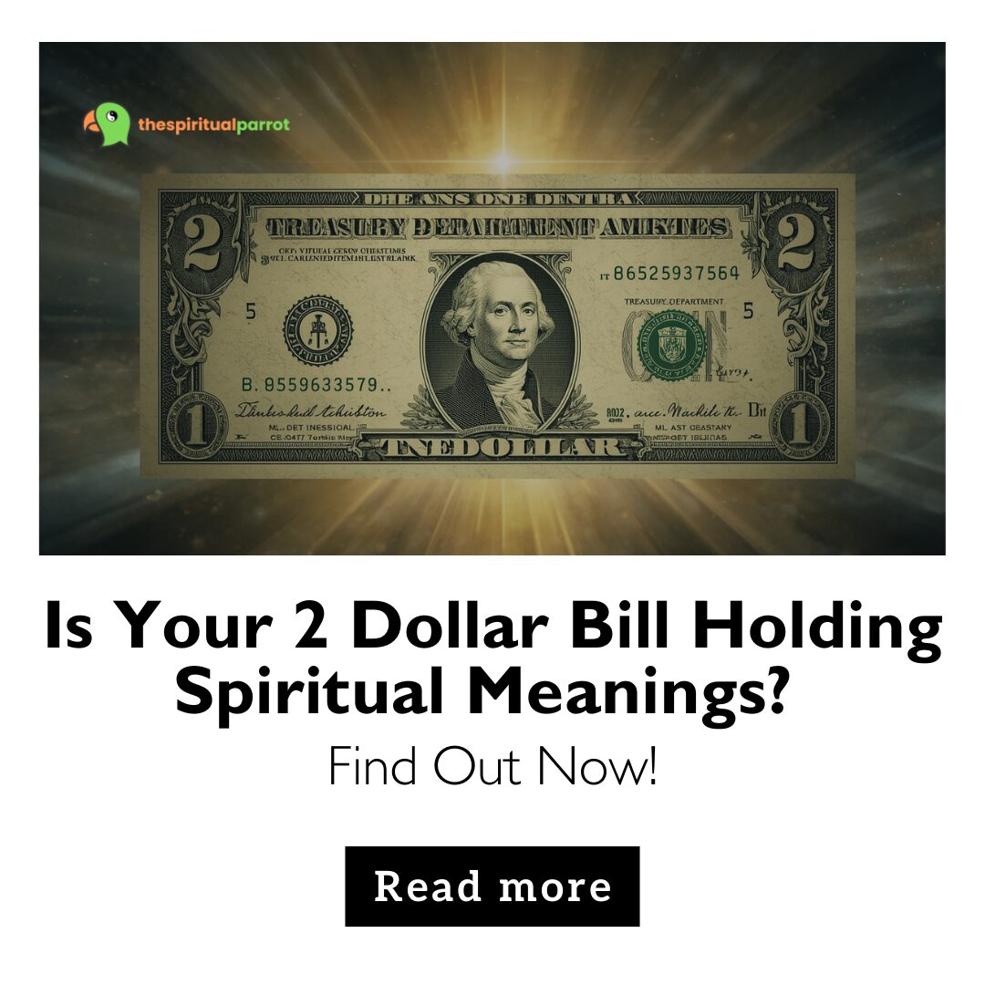 Is Your 2 Dollar Bill Holding Spiritual Meanings? Find Out Now! 6 Is Your 2 Dollar Bill Holding Spiritual Meanings Find Out Now!