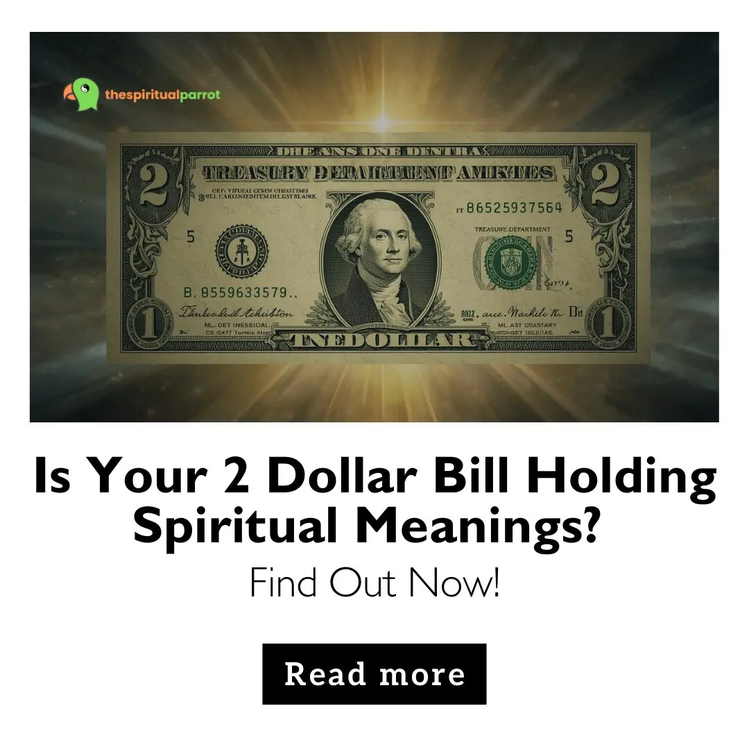 Is Your 2 Dollar Bill Holding Spiritual Meanings? Find Out Now! 8 Is Your 2 Dollar Bill Holding Spiritual Meanings Find Out Now!