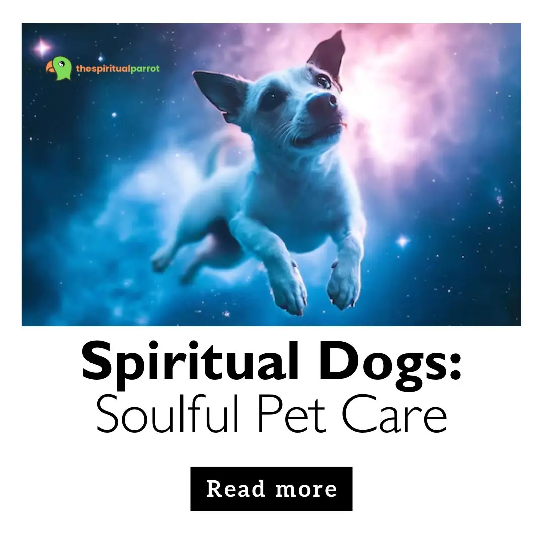 Spiritual Dogs: Soulful Pet Care 13 Spiritual Dogs Soulful Pet Care