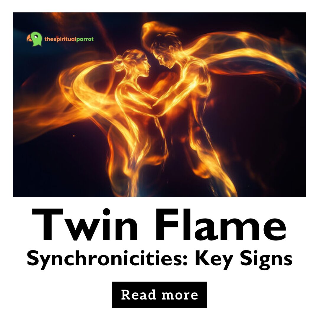 Twin Flame Synchronicities: Key Signs 5 Twin Flame Synchronicities Key Signs