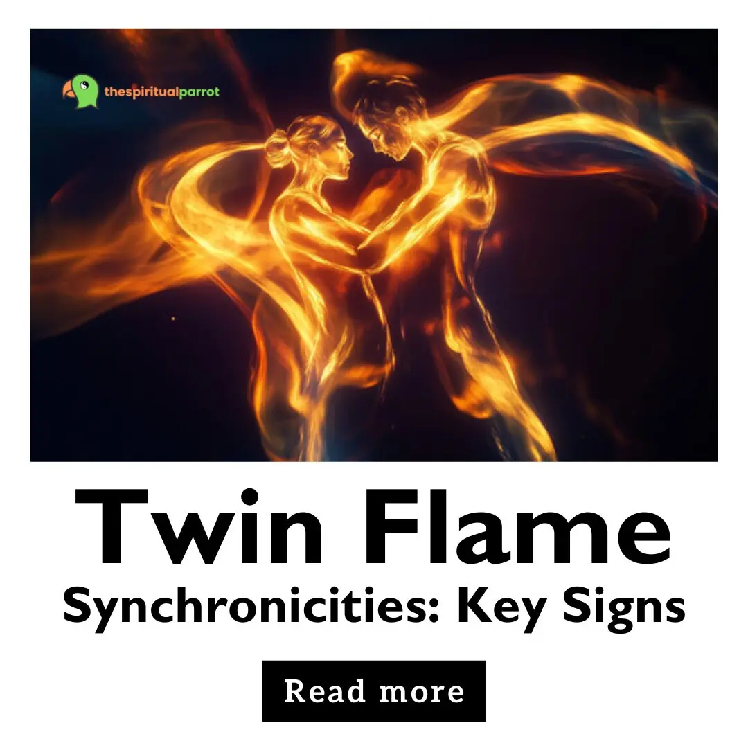 Twin Flame Synchronicities: Key Signs 6 Twin Flame Synchronicities Key Signs