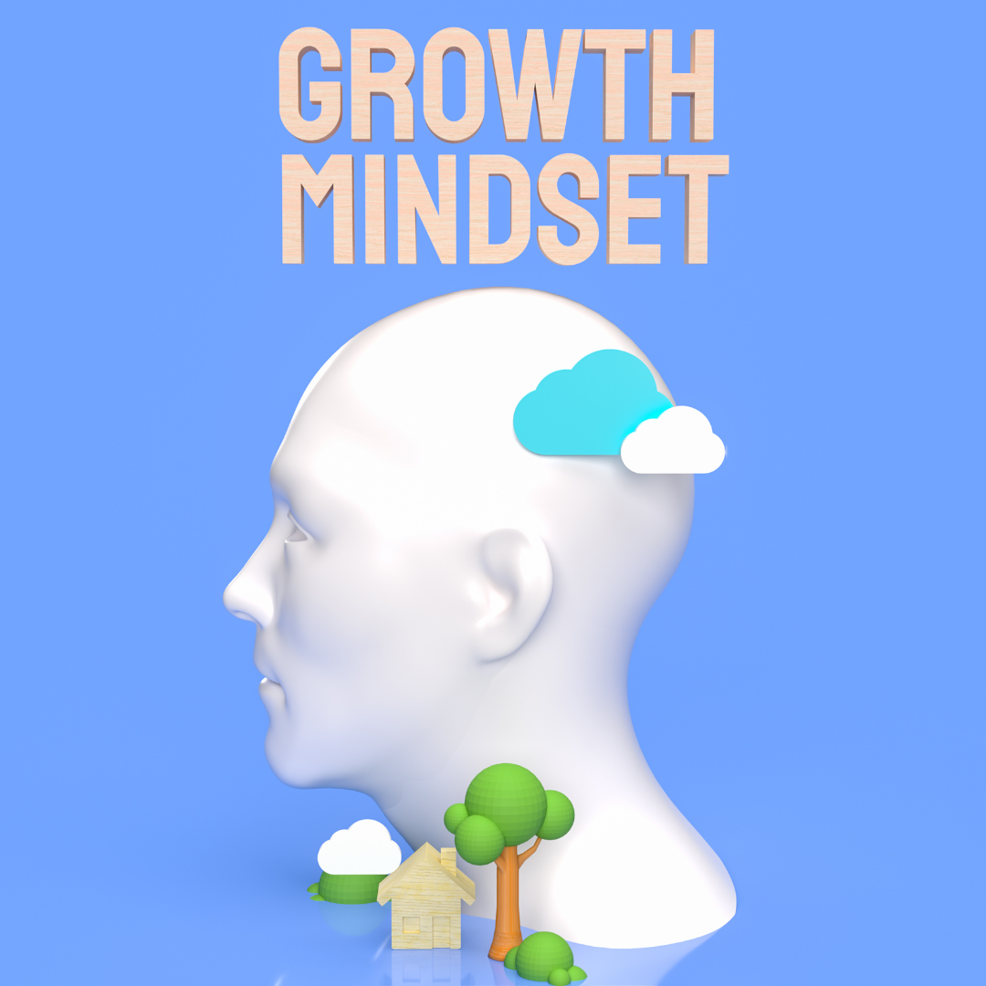 Cultivating a Growth Mindset for Success