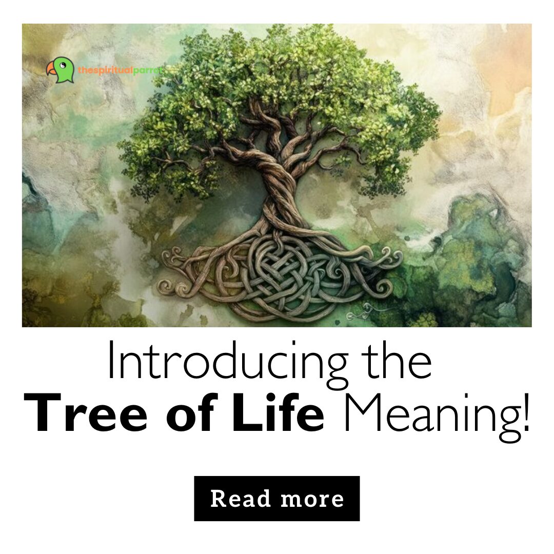 Introducing the Tree of Life Meaning! 22 Introducing the Tree of Life Meaning!