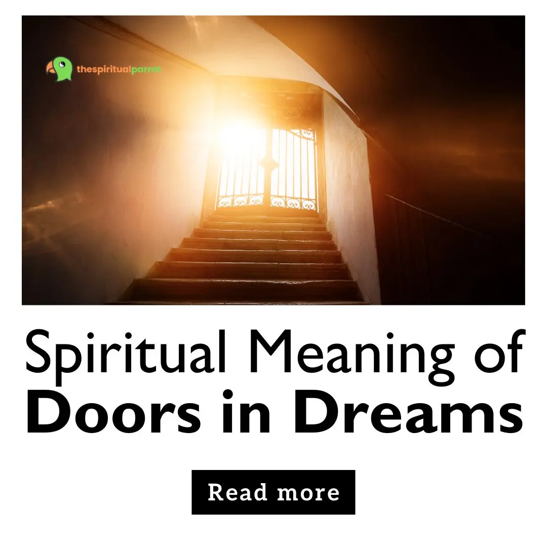 Spiritual Meaning of Doors in Dreams 14 Spiritual Meaning of Doors in Dreams