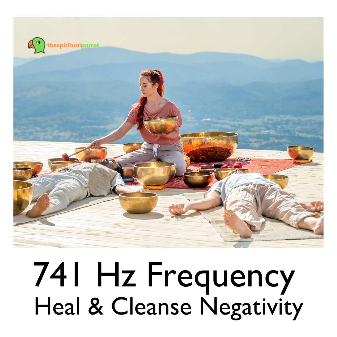 741 Hz Frequency Heal & Cleanse Negativity