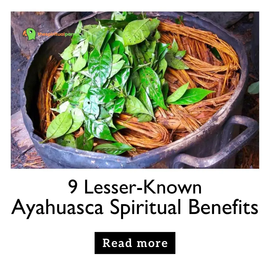 9 Lesser-Known Ayahuasca Spiritual Benefits