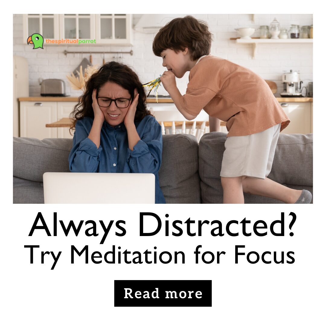 Always Distracted Try Meditation for Focus