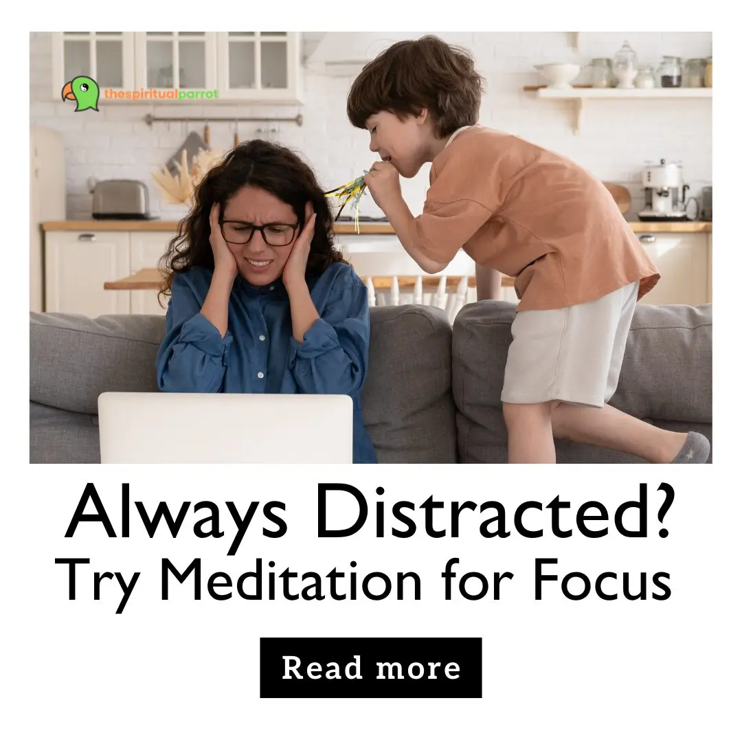 Always Distracted Try Meditation for Focus