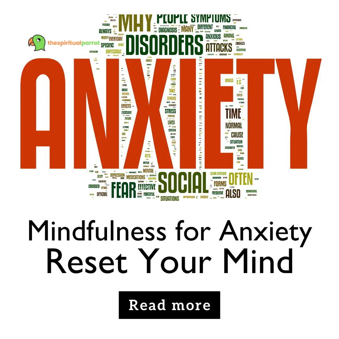 Mindfulness for Anxiety Reset Your Mind