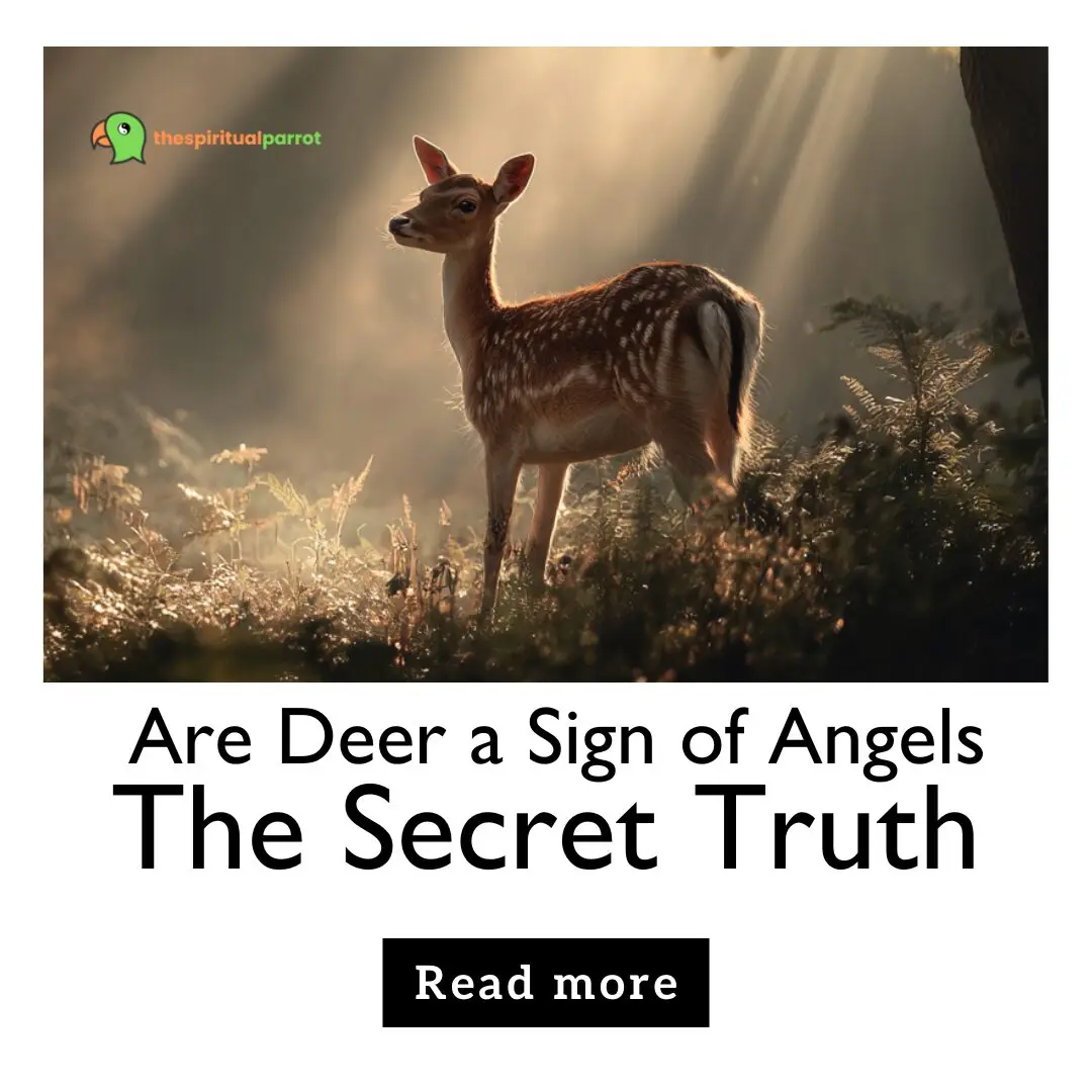 Are Deer a Sign of Angels The Secret Truth