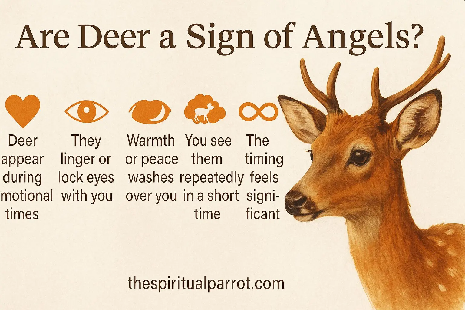 Are Deer a Sign of Angels: The Secret Truth 4 Are deer angels