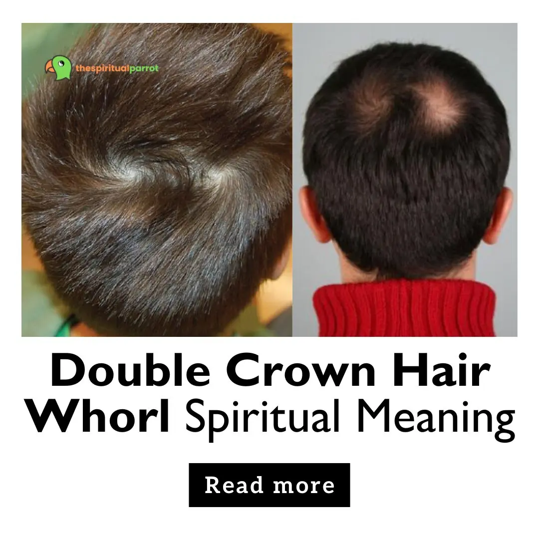 Double Crown Hair Whorl Spiritual Meaning: What Two Whorls Say About You 10 Double Crown Hair Whorl Spiritual Meaning