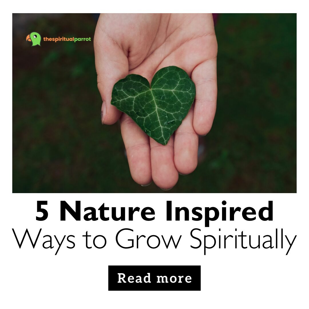 5 Nature Inspired Ways to Grow Spiritually 4 5 Nature Inspired Ways to Grow Spiritually