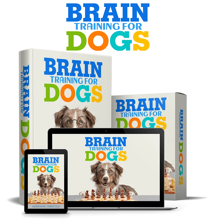 brainydogs