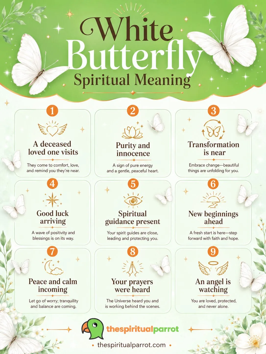 White Butterfly Spiritual Meaning: 9 Powerful Messages It Carries 2 White-butterfly-spiritual-meaning
